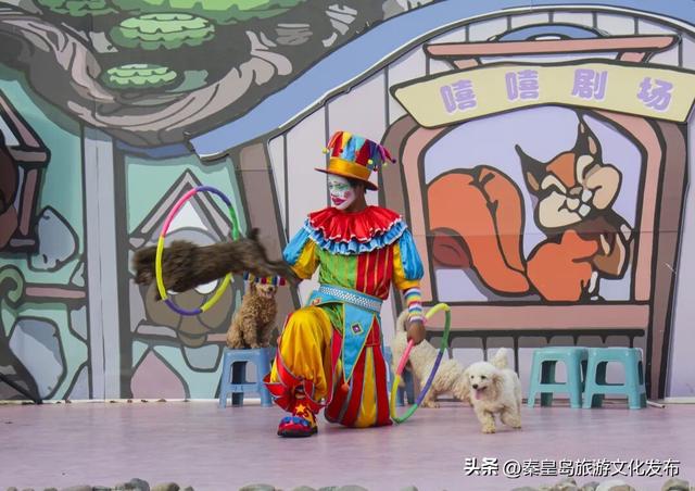 十一假期，秦皇岛渔岛最新演出时间表出炉！