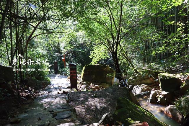 浙江宁波城西的隐秘古道瀑布飞溅，堪称绝美的玩水胜地，确实好玩