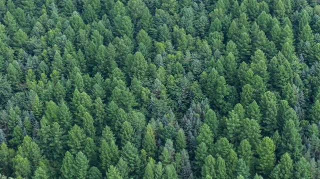 绿水青山就是金山银山，我镜头里的祖国磅礴山水