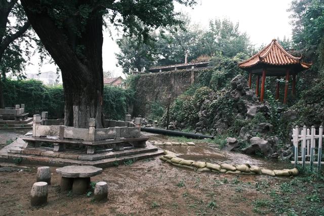 博山连续13天降雨竟泡出千年古泉!连县志都没记载其名