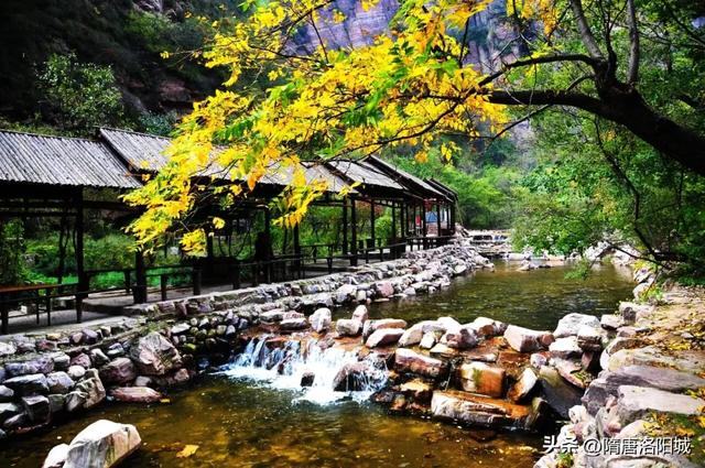 洛阳再上榜！跟着榜单游神都，最新攻略出炉！