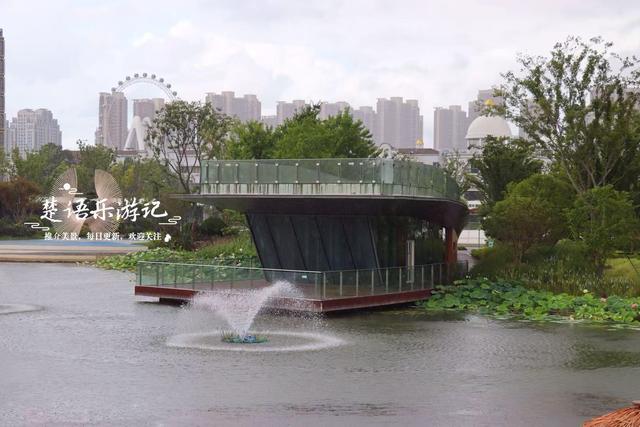 浙江宁波的新兴游玩地，多个公园相邻而居，多个荷花池美不胜收