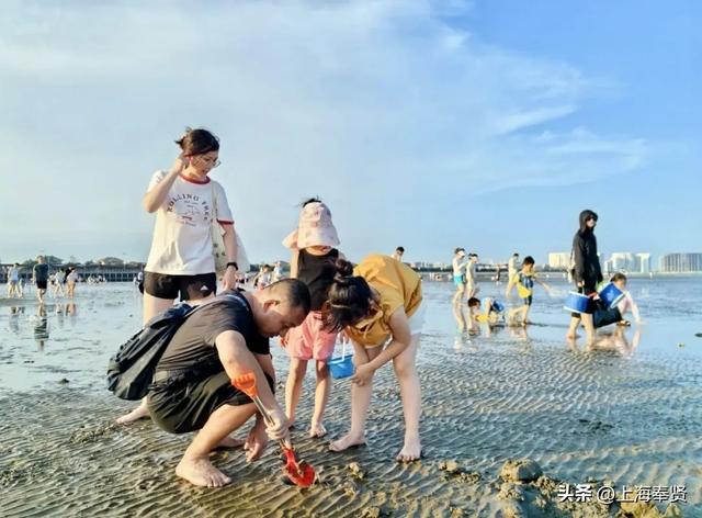 看海！挖宝！狂炫海鲜！这里的独家快乐太上头～