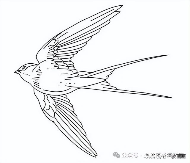 燕子的简笔画线稿图，给孩子收藏
