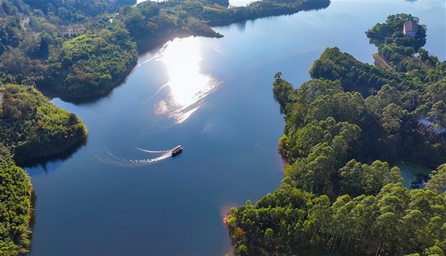 湖光山色 + 野鸭嬉戏！垫江迎风湖的初冬美景藏不住啦～