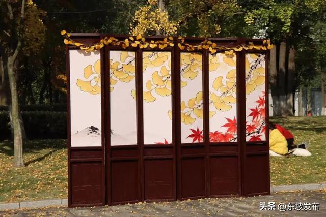 东坡银杏已“上分” ！快来拍