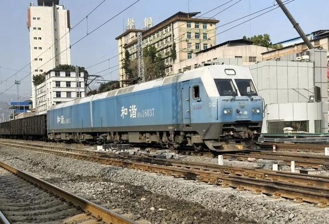 动车直达！来这座以花命名的城市，过个暖冬！