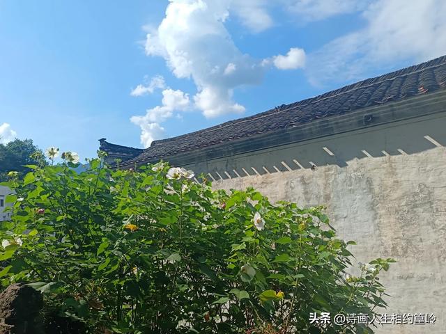 旅游果真就是从自己呆腻的地方去到别人呆腻的地方吗?