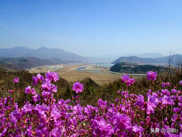 本溪太子河沿途一百公里风光——右寨子S弯（十五）