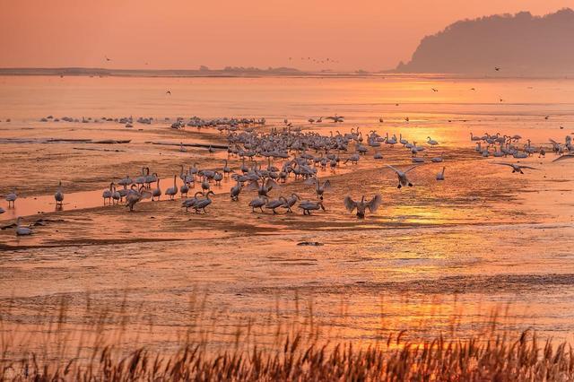 1月-2月，适合淡季出行的6个目的地，人少体验好，氛围感更佳