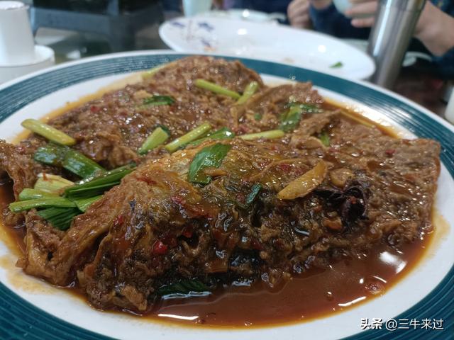 无为在歧路，连云港免票1