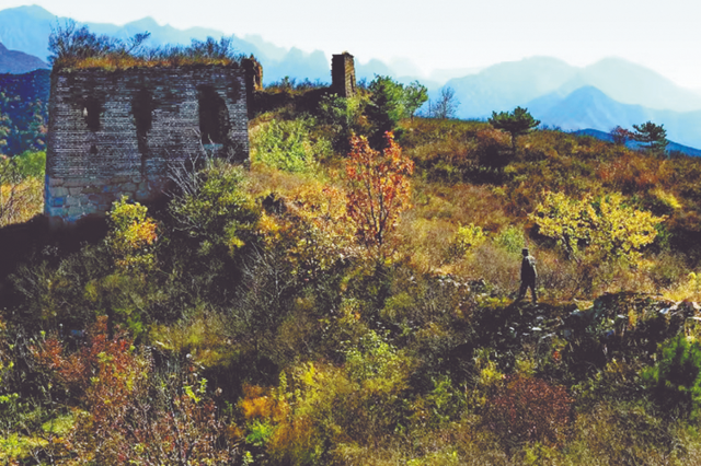 “金台”眺远 古村求变