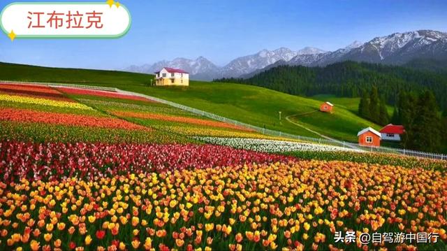 中国最值得推荐去的景区