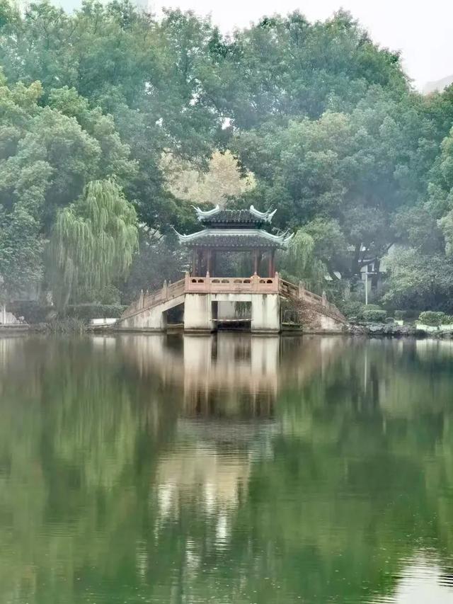 相约在湖州,相聚在梦萦——记原福空医院老战友2025年湖州行