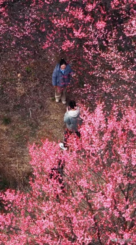 多个景区官宣：免费