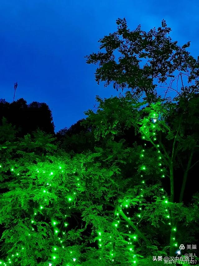 当光影遇上森林,汉中的夏夜如此动人清凉!