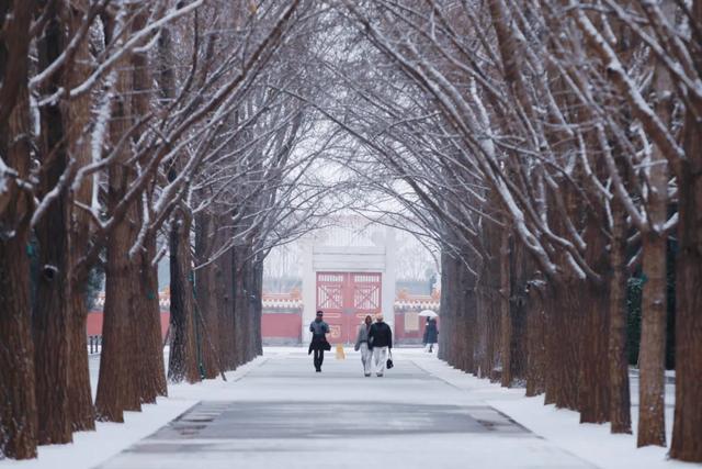 下了！下了！快来东城赏雪吧！