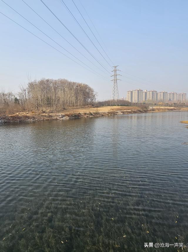 寒风袭袭，看塞上江南，水乡如画，美不胜收，风景秀丽，景色宜人