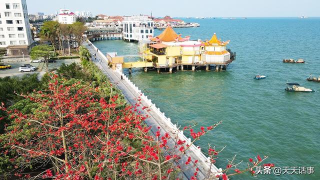 北海最美的环半岛慢行绿道迎来第一春，美爆了！