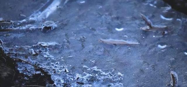 这不是迷信！“最怕立冬是雨天”，今日立冬，下雨啥预兆？