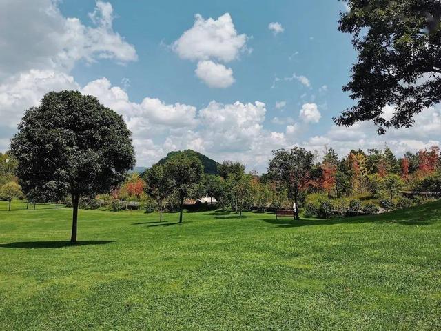 河南未来最“吃香	”的城市，并不是郑州	，而是一个名气不大的城市