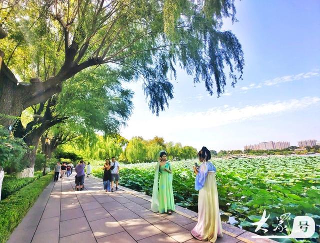 明湖垂柳曼妙多姿 游人如织景致如画