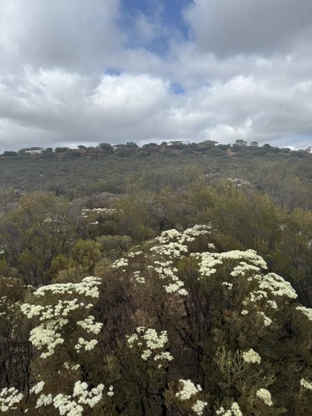 澳大利亚22日世界文化遗产与自然之旅游记+攻略