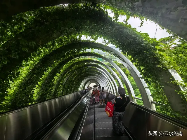 一个五A级植物园，到底藏着哪些值得看的地方，这是最实在的攻略