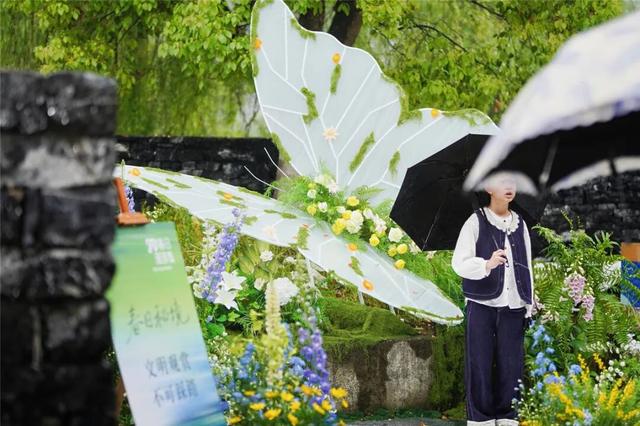 富阳这里，春日氛围感拉满！市民游客纷纷冒雨赶来……