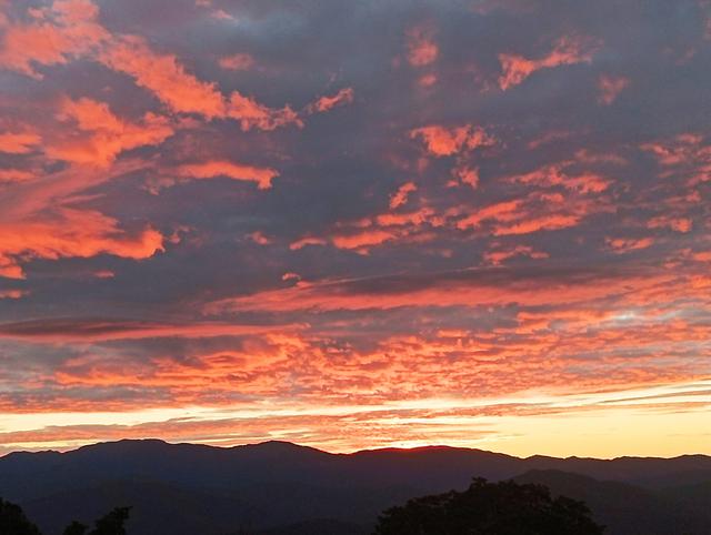 景迈山避世之旅，云端上的茶香秘境——西双版纳普洱游记之三