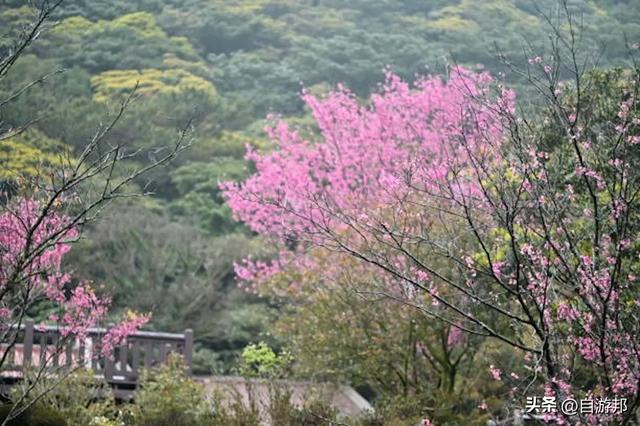 台北阳明山国家公园热门景点TOP 8排行榜 第一名竟有324万人去过！