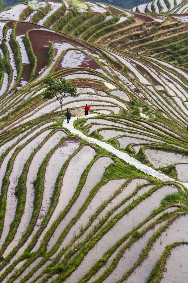 强烈建议12-2月走起的8条路线！北上赏雪南下避寒，选一条出发吧