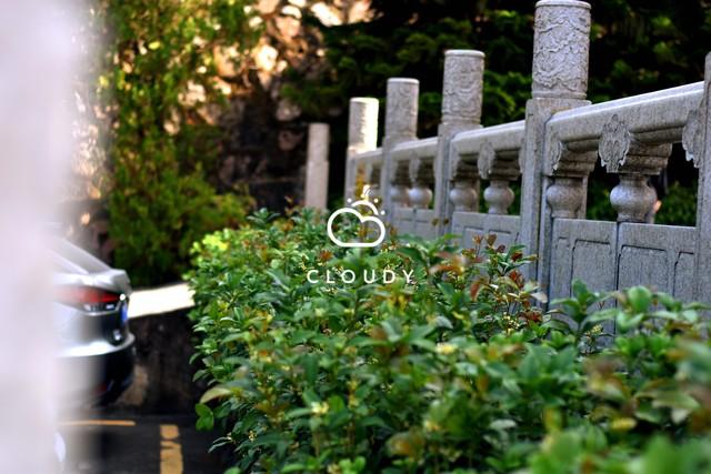 不花一分钱！教你白嫖国外顶级云服务器，搭建网站博客都不在话下