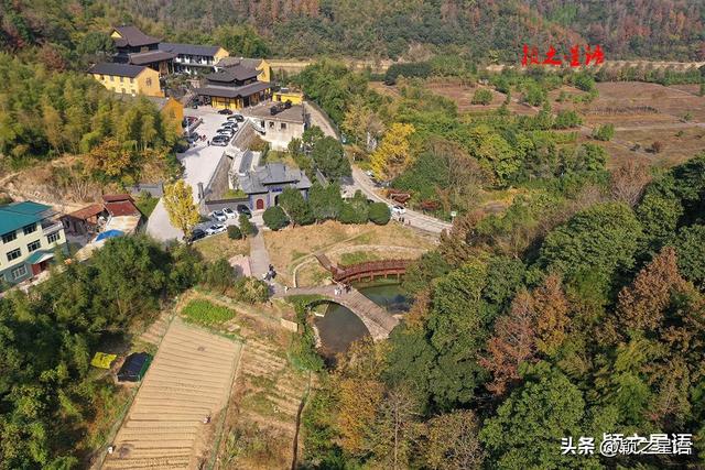 古桥、古村，银杏黄、芦苇荡，宁波城郊居然有这么美的赏秋地