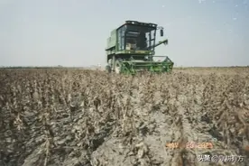 耕地、基本农田、永久基本农田、高标准基本农田，到底啥区别？图片