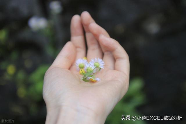 Excel批量生成Sheet表：从手动到自动，3个技巧让你效率翻倍