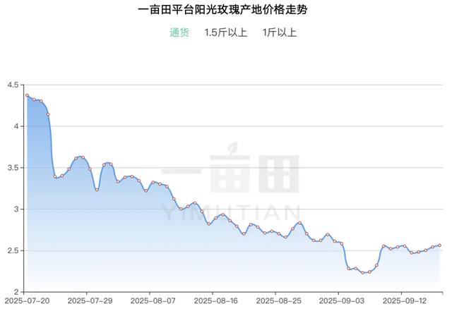 零售跌至3元，产地却在涨价？阳光玫瑰价格创新低，果农怎么办？