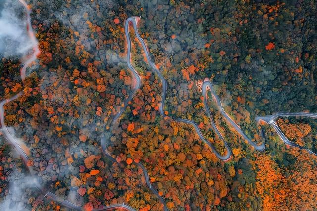 沿路骑丨栖湖崎路 栅梁寻幽