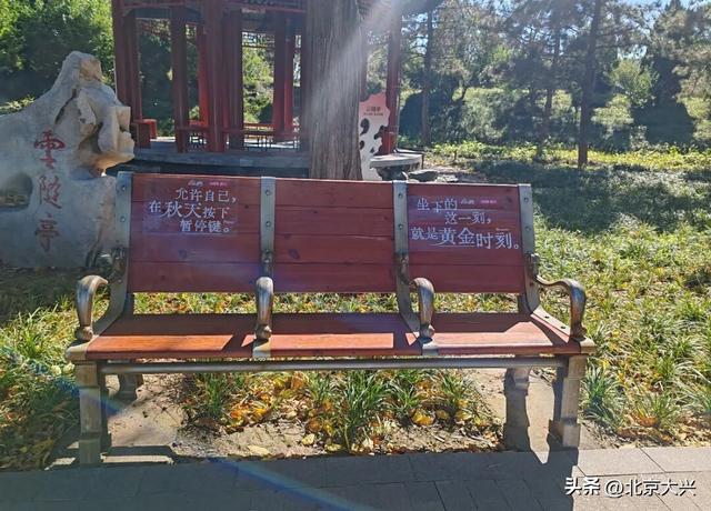 跟着小红书“秋日长椅三分钟”计划，打卡大兴限定秋色！点位——