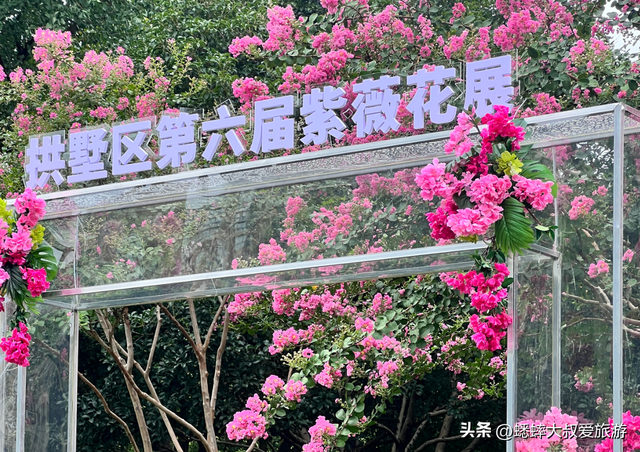 太神奇了，杭州第六届紫薇花展拉开帷幕，唯美秋色画卷，国庆来袭