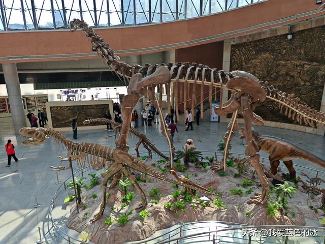 来河源才知道河源是中国恐龙之乡，挖掘出的恐龙蛋超级多