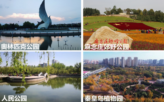 这下，秦皇岛要在全国出名了！