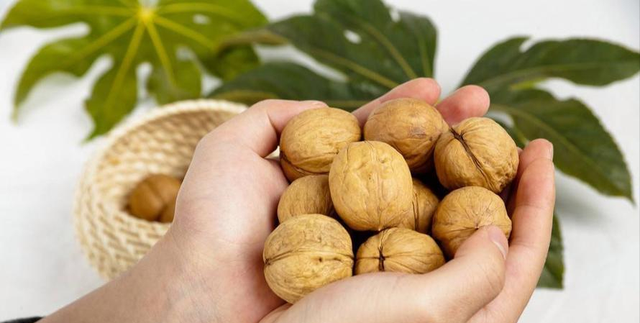 核桃立大功，医学研究发现：每天吃核桃对这3种慢性病或有好处