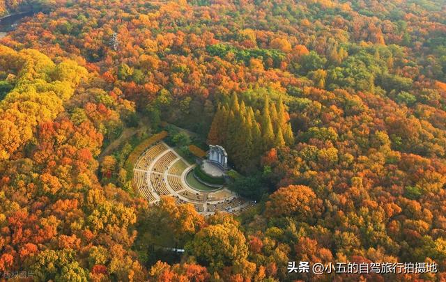 南京秋日赏景全攻略！8 大网红地 + 住宿推荐，红枫银杏梧桐全吃透