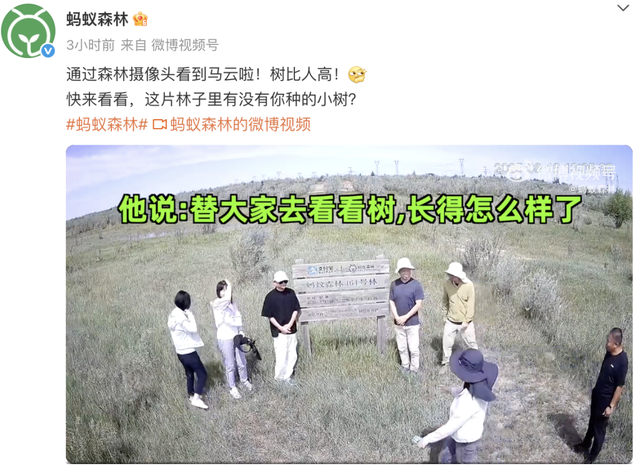 60岁马云近况：时隔6年重返蚂蚁森林，植被茂密，现场大口吃瓜