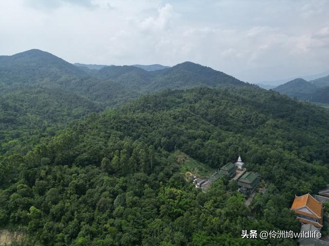成都徒步（68）·彭州篇⑮佛山古寺&镇国寺宝塔