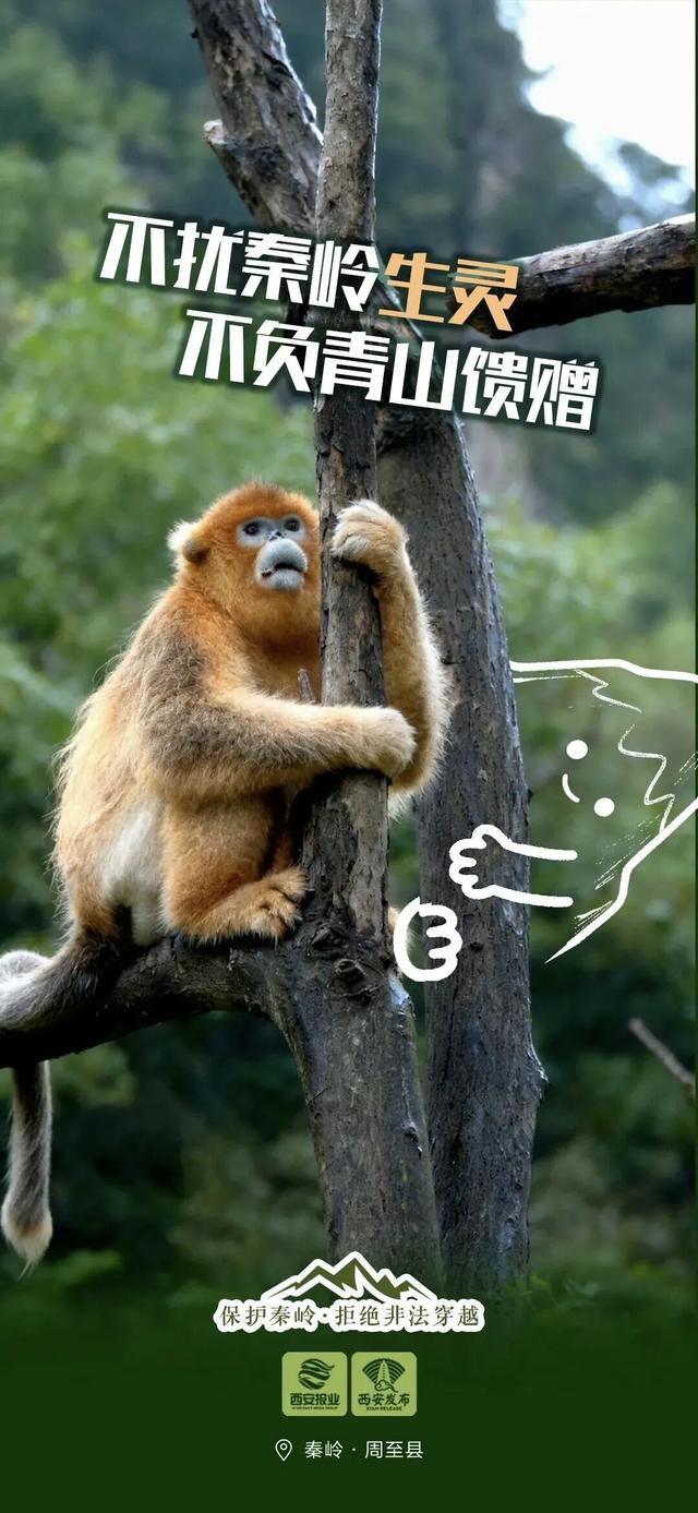 敬畏生命！对秦岭违规穿越探险说“不”