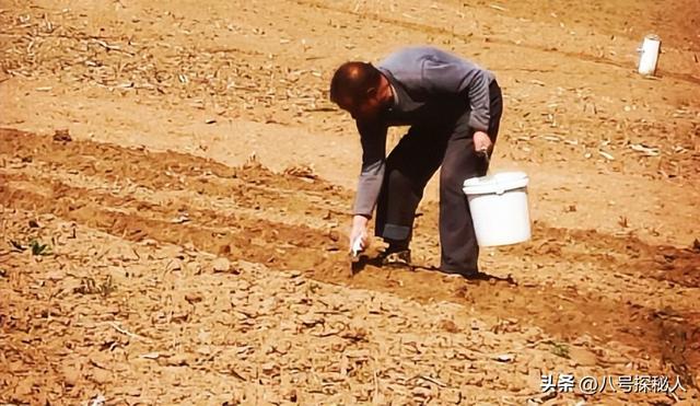 一年狂赚786亿，吞并18个村庄，村长身家165亿	，他们是干啥的？