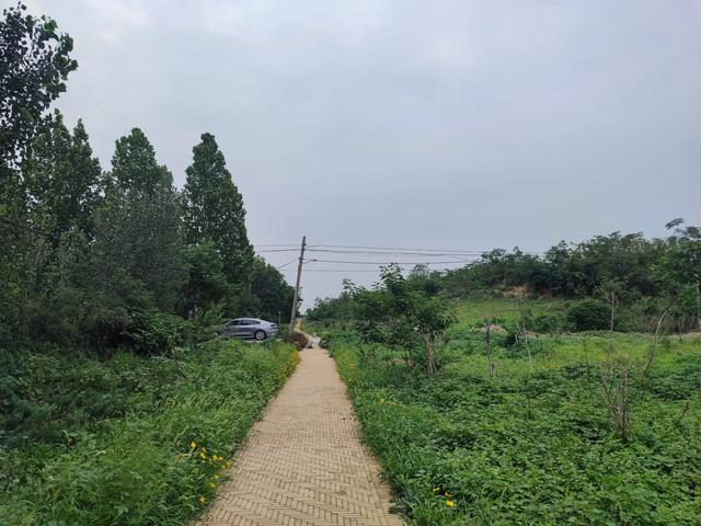 章丘龙山平陵城古城墙，位列国保的遗址公园。