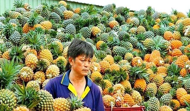 美国终于意识到不对劲：解放军可能不会武力收台，中国另有杀招？